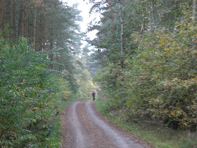 CTF Celle Strecke 042